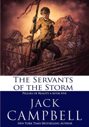 Cover of the book The Servants of the Storm by J. C. Jones