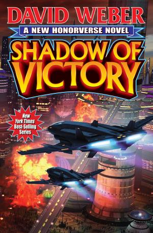 Cover of the book Shadow of Victory by Sarah A. Hoyt