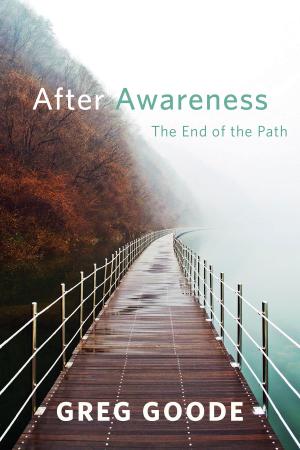 Cover of the book After Awareness by Lawrence E. Shapiro, PhD, Richard Jablow, MD, Julia Holmes
