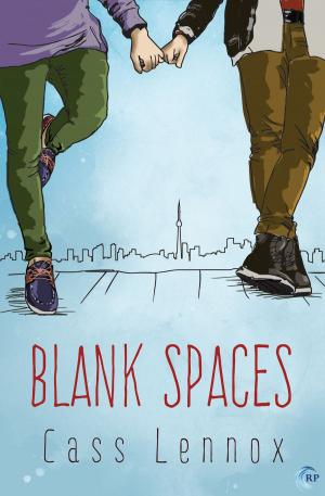 Cover of the book Blank Spaces by Rachel Haimowitz, Heidi Belleau