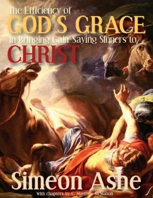 Cover of the book The Efficiency of God’s Grace In Bringing Gain Saying Sinners to Christ by C. Matthew McMahon, Thomas Ford