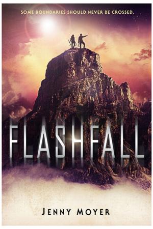 Cover of the book Flashfall by W. Stone Cotter