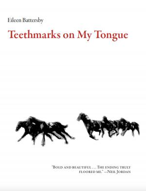 Cover of the book Teethmarks on My Tongue by Stig Saeterbakken
