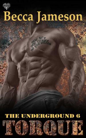Cover of the book Torque by Lea Griffith