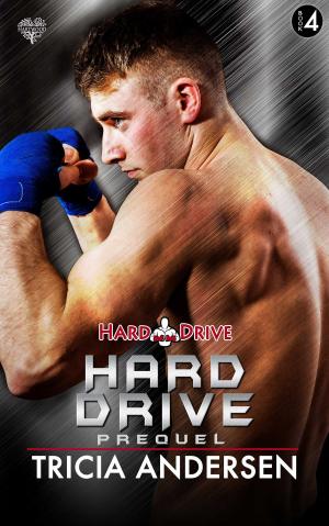 Cover of the book Hard Drive by Michelle Tschantre'