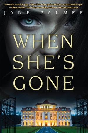 Cover of the book When She's Gone by Helen Haught Fanick