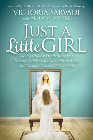 Cover of the book Just a Little Girl by Shannon Perry