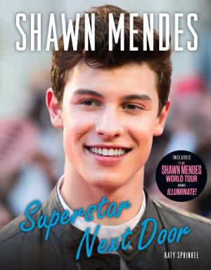 Book cover of Shawn Mendes