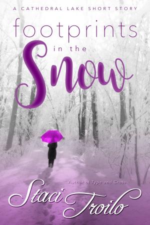Cover of the book Footprints in the Snow by KD McCrite
