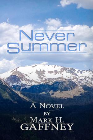 Book cover of Never Summer