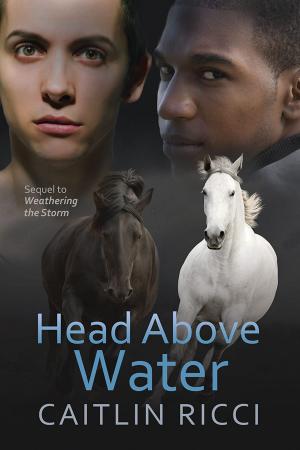 Cover of the book Head Above Water by Serena Yates