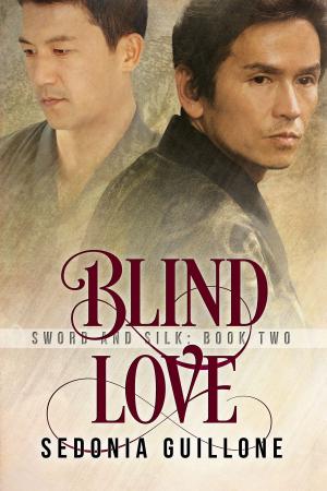 Cover of the book Blind Love by Shira Anthony