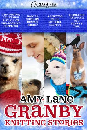 Cover of the book Granby Knitting Stories by Katherine Bayless