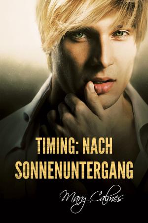 Cover of the book Timing: Nach Sonnenuntergang by Scotty Cade