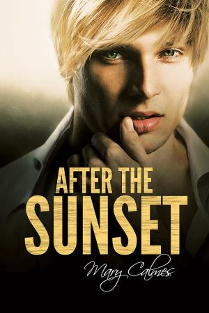 bigCover of the book After the Sunset by 