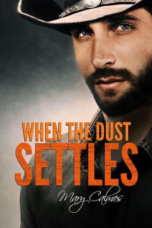 Cover of the book When the Dust Settles by Connie Bailey