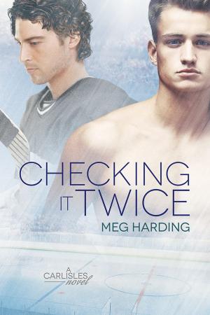 Cover of the book Checking It Twice by Alex Kidwell, Robin Saxon