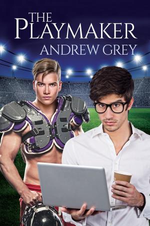 Cover of the book The Playmaker by Cindy Sutherland
