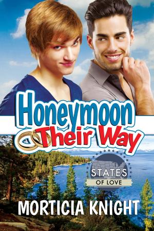 bigCover of the book Honeymoon Their Way by 