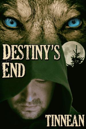 Cover of the book Destiny's End by Deirdre O’Dare