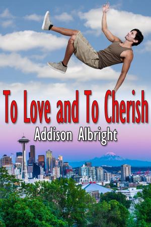 Cover of the book To Love and To Cherish by Vincent Diamond