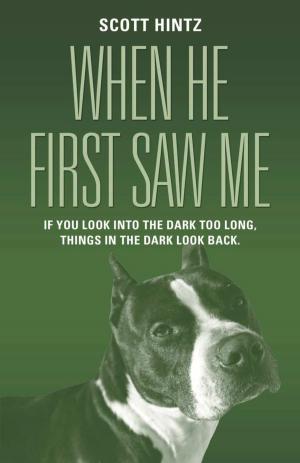 Cover of the book When He First Saw Me by Niels Aage Skov