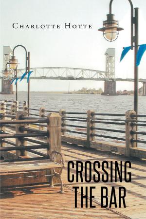 Cover of the book Crossing the Bar by Julie Hadler