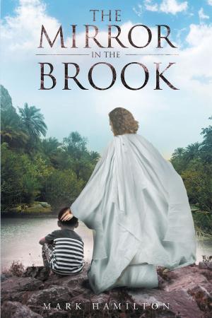 Cover of the book The Mirror In The Brook by Jacqueline DeLorge