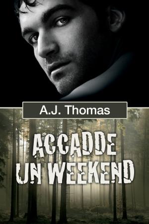 Cover of the book Accadde un weekend by Mary Calmes, Poppy Dennison