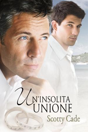 Cover of the book Un'insolita unione by BA Tortuga