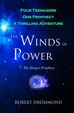 Cover of the book The Winds of Power by Andi Lawrencovna