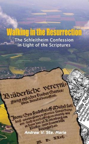 Cover of the book Walking in the Resurrection by Enoch A. Anti