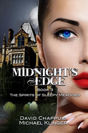 bigCover of the book Midnight's Edge: The Spirits of Sleepy Meadows by 