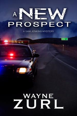 Cover of the book A New Prospect by J H Wear