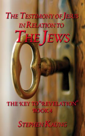 bigCover of the book The Testimony of Jesus in Relation to the Jews  by 