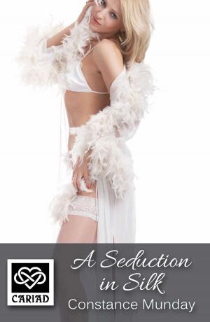 Cover of the book A Seduction in Silk by Kate Field