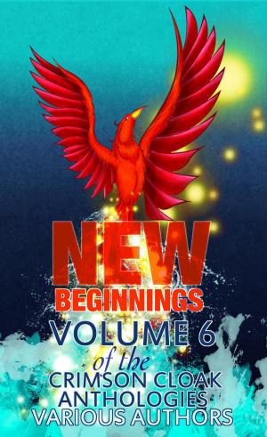 Book cover of New Beginnings