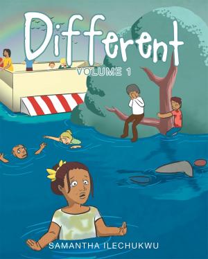 Cover of the book Different: Volume 1 by Ilene Goff Kaufmann