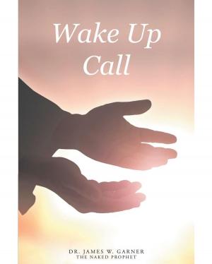 Book cover of Wake Up Call