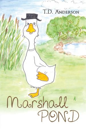 Cover of the book Marshall Pond by Christopher Soper