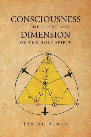 Cover of the book Consciousness of the Heart and Dimension of the Holy Spirit by Jerry Rhoads