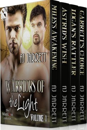 Cover of the book Warriors of the Light, Volume 1 by Cooper McKenzie