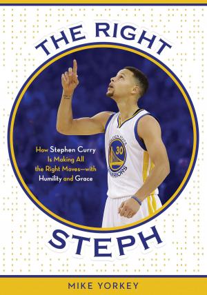 Cover of the book The Right Steph by Elizabeth Ludwig Janelle Mowery
