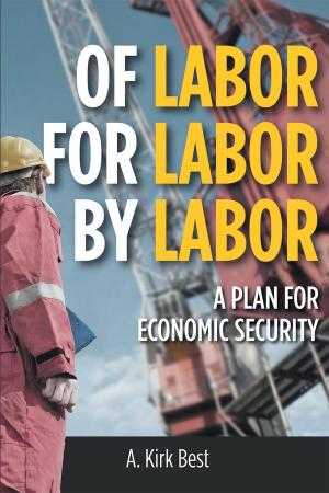 Cover of the book Of Labor For Labor By Labor: A Plan for Economic Security by Marcia Fineman Ph.D. (dec. 2007)