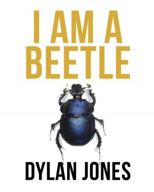 Cover of the book I Am A Beetle by Don Williamson