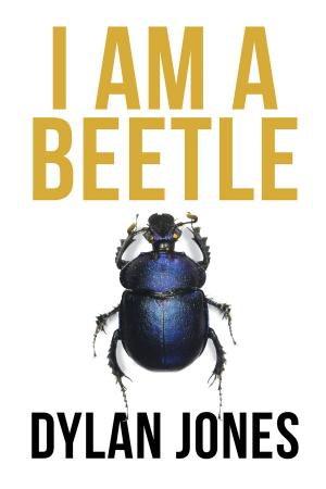Cover of the book I Am A Beetle by Jane Hengtgen
