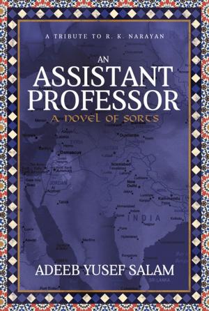 Book cover of An Assistant Professor