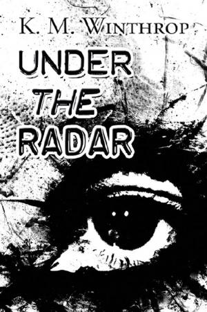 Cover of the book Under the Radar by Barbara Celeste McCloskey
