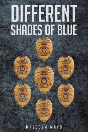 Book cover of Different Shades of Blue