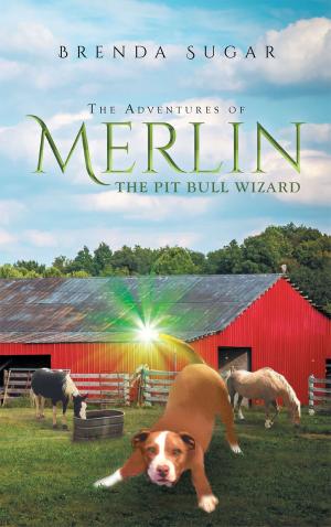 Cover of the book The Adventures of Merlin the Pit Bull Wizard by Pat Gooley